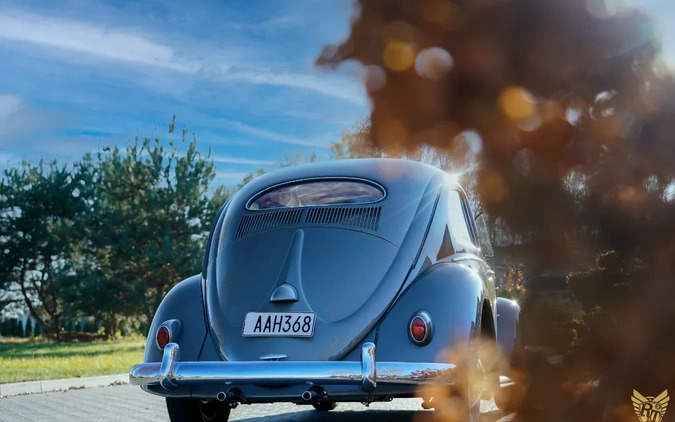 Volkswagen Garbus cena 179000 przebieg: 73845, rok produkcji 1956 z Ostrzeszów małe 742